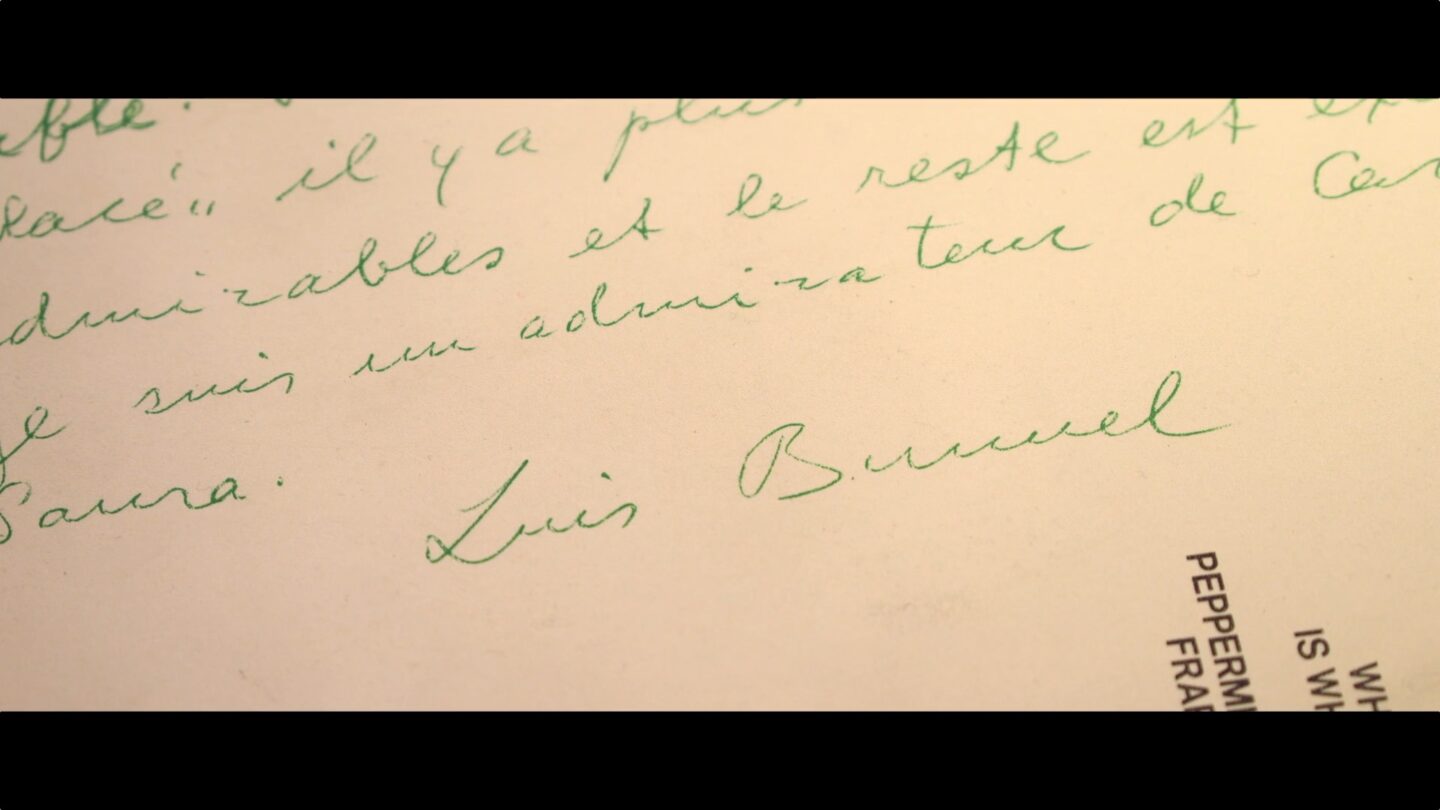 CRUZ NOVILLO DE CINE