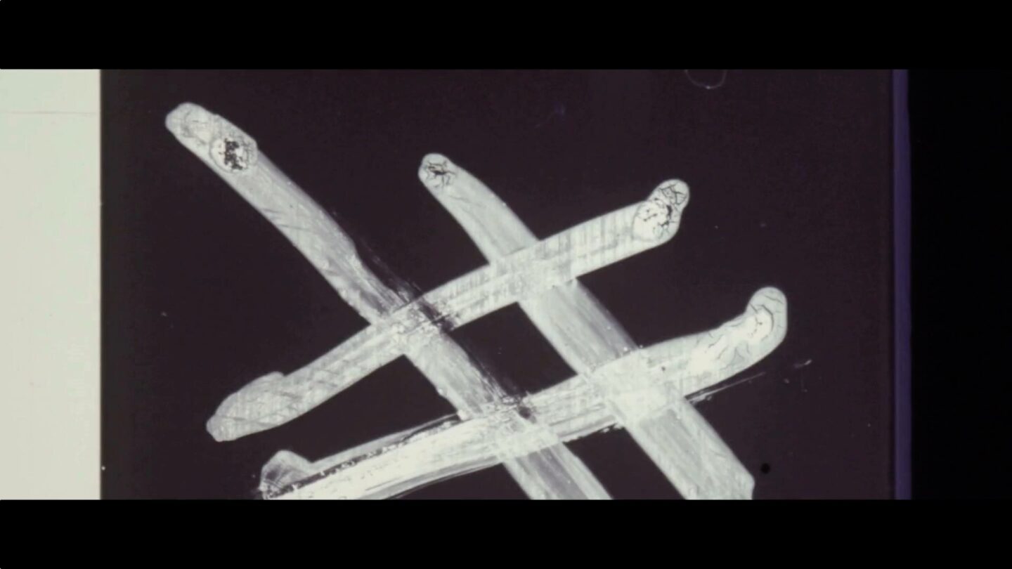 CRUZ NOVILLO DE CINE